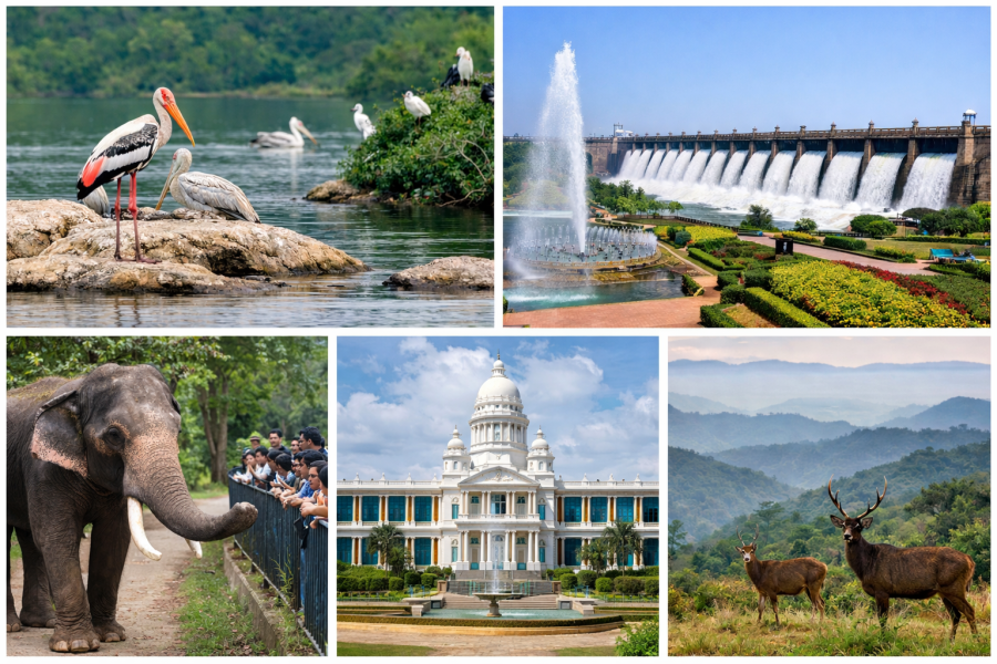 chatgpt image feb 9, 2026, 12 38 24 pm